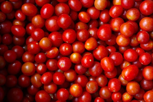 Sélection de collations santé à faible teneur en matières grasses